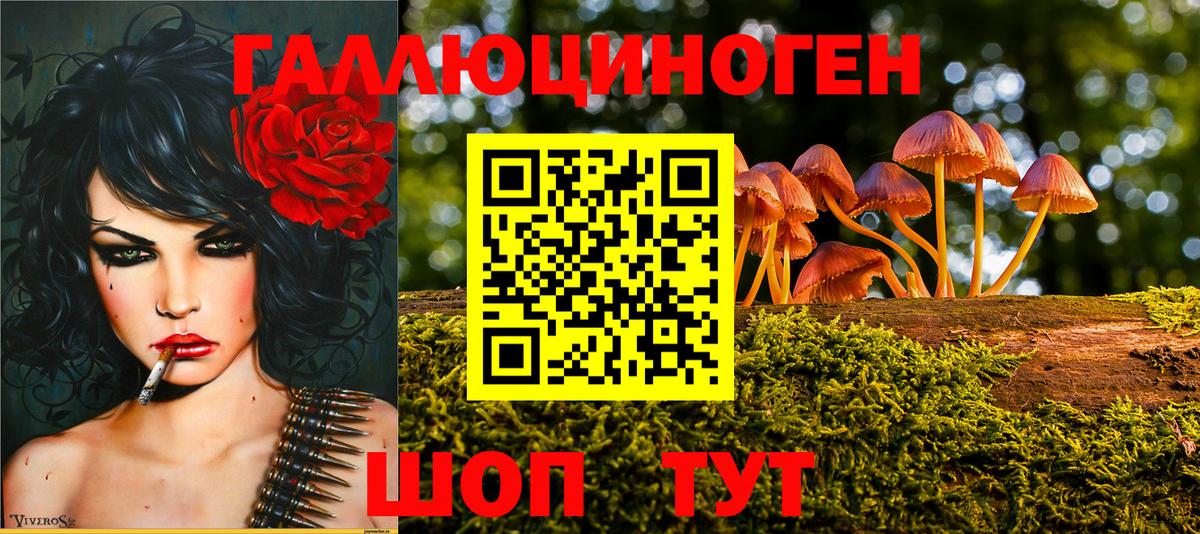 Псилоцибиновые грибы GOLDEN TEACHER Артём