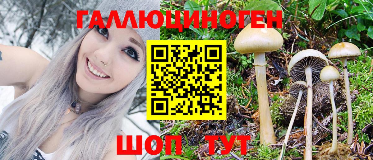 Галлюциногенные грибы Psilocybine cubensis  Вход с VPN  Артём 