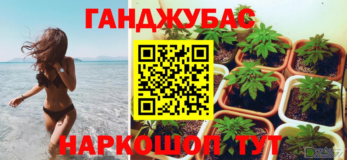 Шишки марихуана тримм  Бошки марихуана ГИДРОПОН  Вход с VPN  Артём  Марихуана планчик 